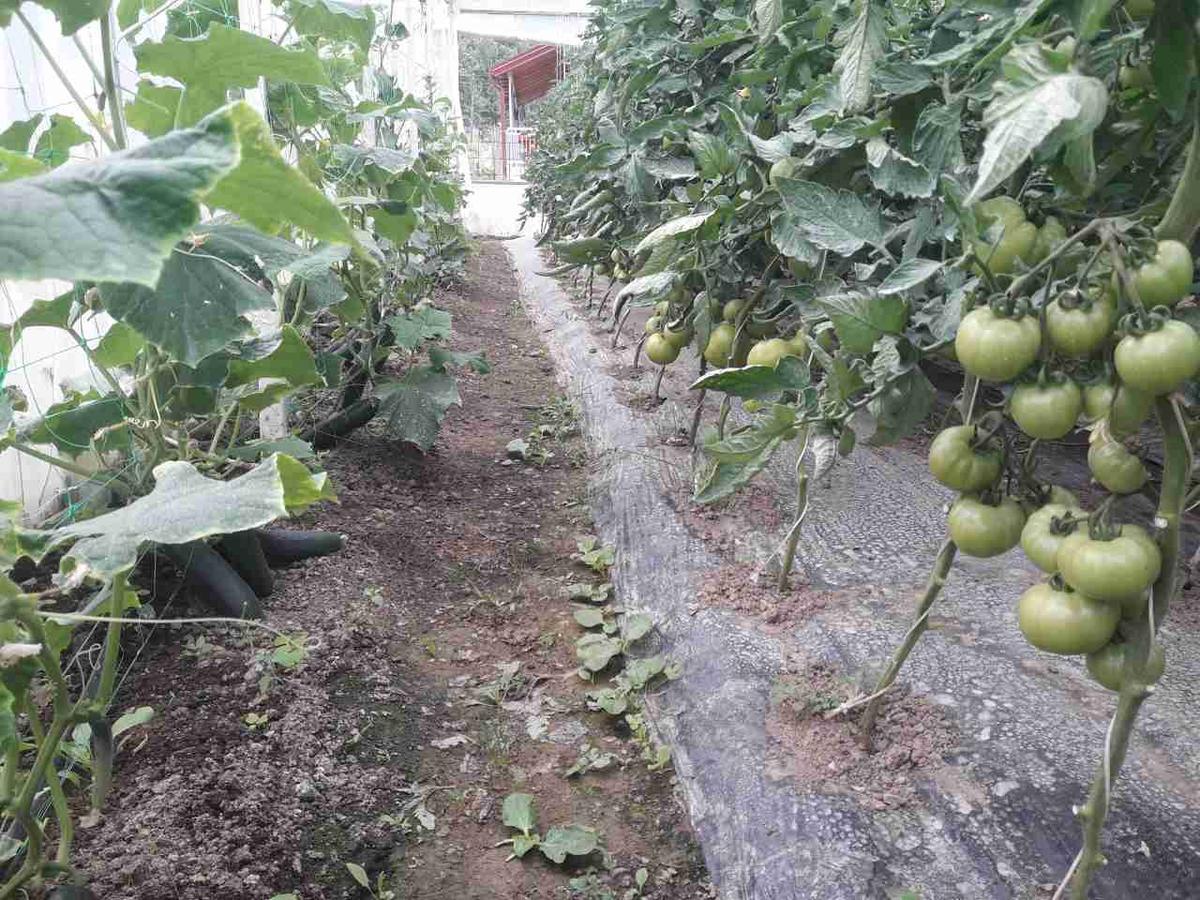 Vuceljic Rooms Andrijevica المظهر الخارجي الصورة