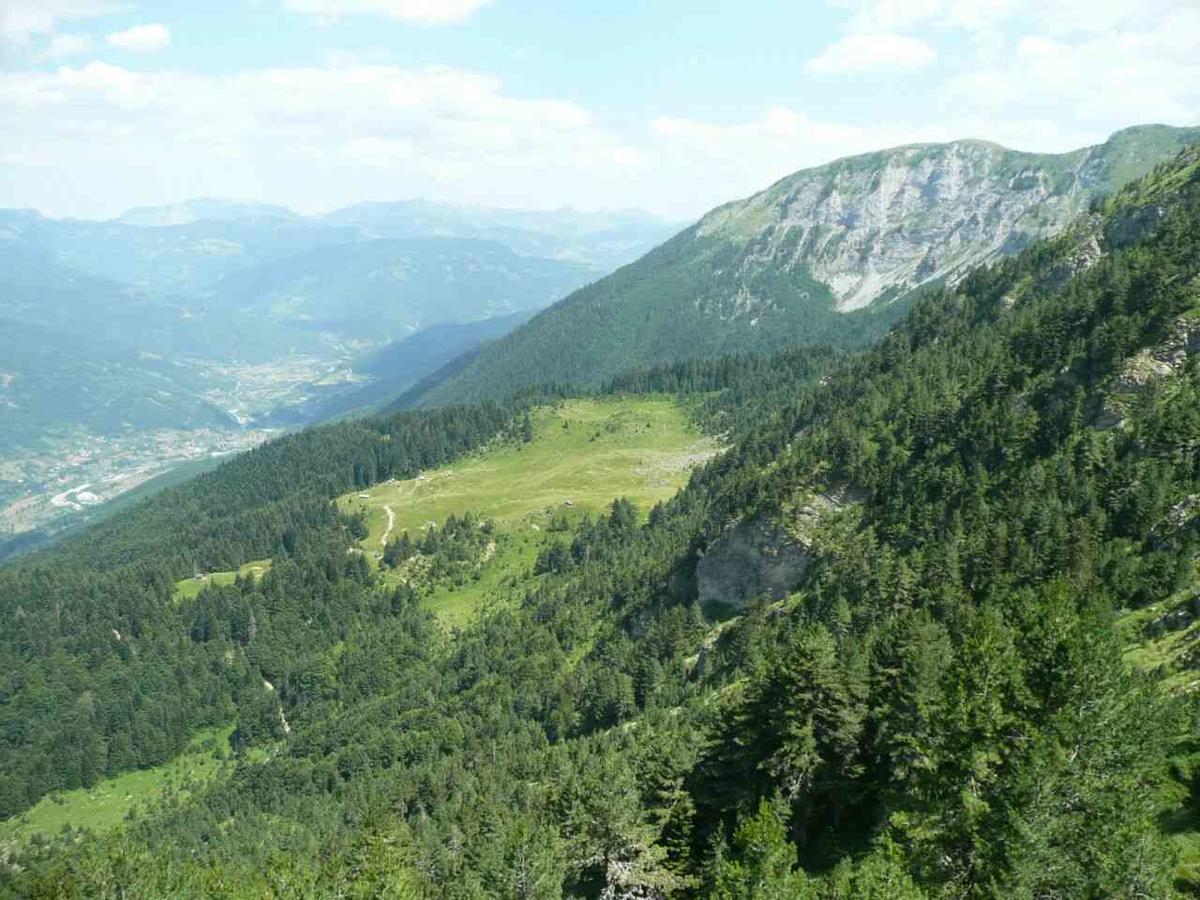 Vuceljic Rooms Andrijevica المظهر الخارجي الصورة